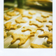 Illustration for article titled Polaroid SX-70: The Joy of Instant Photography Before Digital